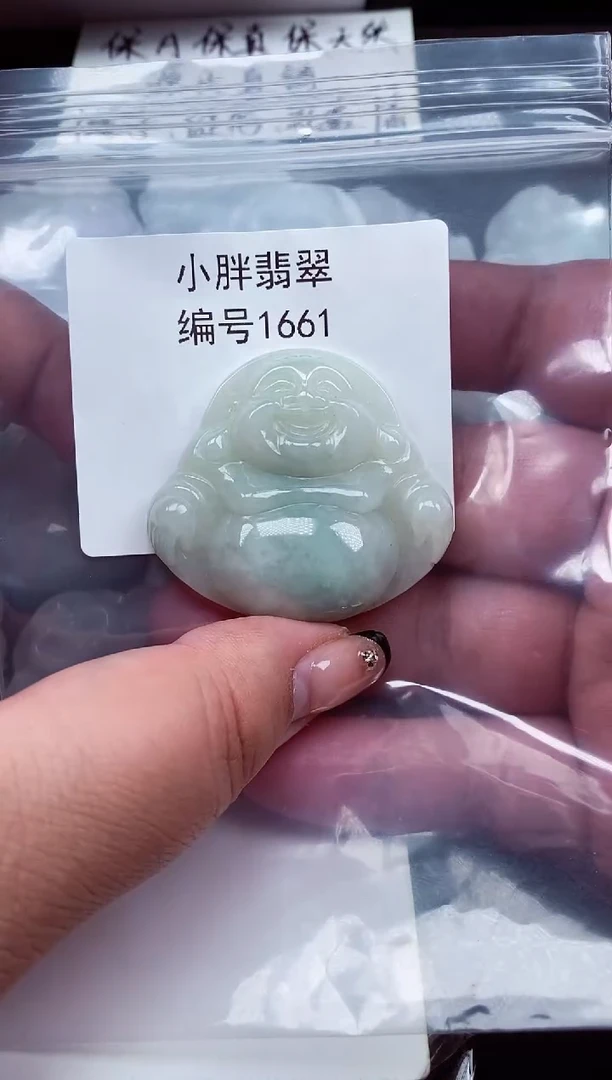颈饰未镶嵌翡翠缅甸天然A货翡翠1661