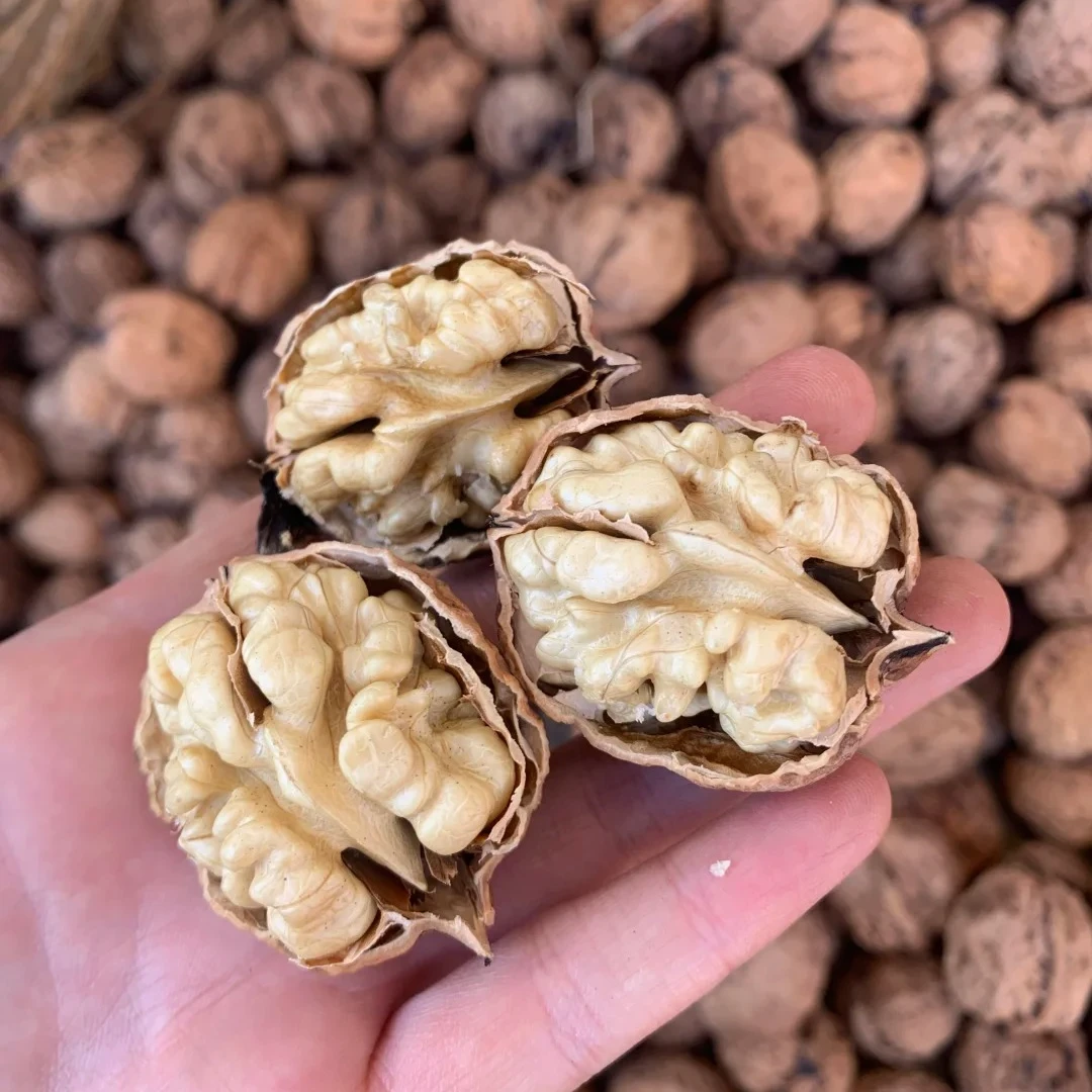 【大山甄选】核桃土特产  纸皮核桃  正宗山货 500g