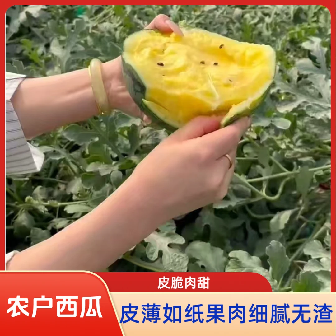 农户自产特小凤头茬西瓜新鲜现摘黄壤冰淇淋薄皮脆甜