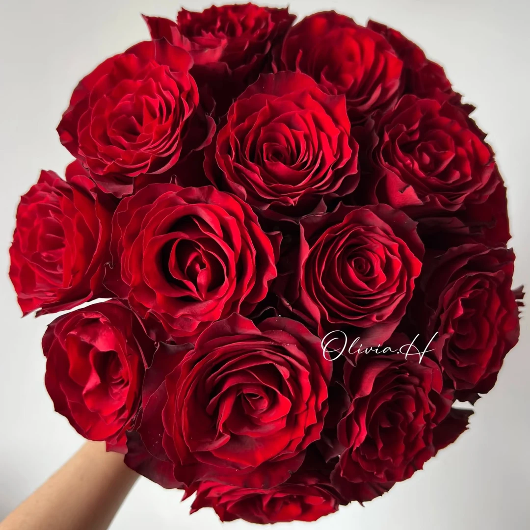 【高原红】单头玫瑰 云南鲜花 任意2单鲜花升级顺丰包邮