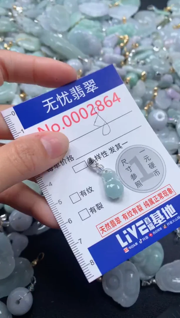 颈饰未镶嵌翡翠2864