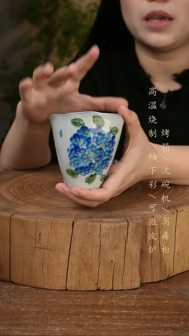 碗瓷景德镇手工手绘高温瓷釉下彩