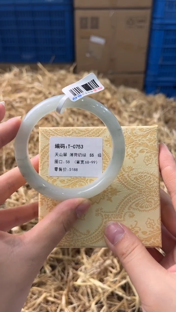 未镶嵌手镯石英质玉T-0753