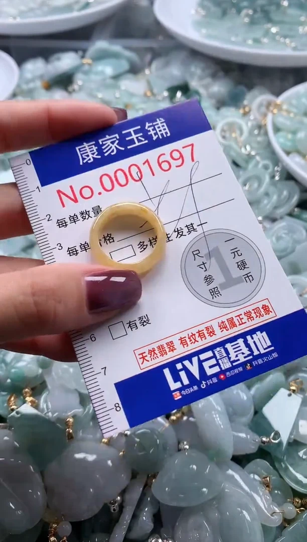 翡翠未镶嵌吊坠(不含链)1697