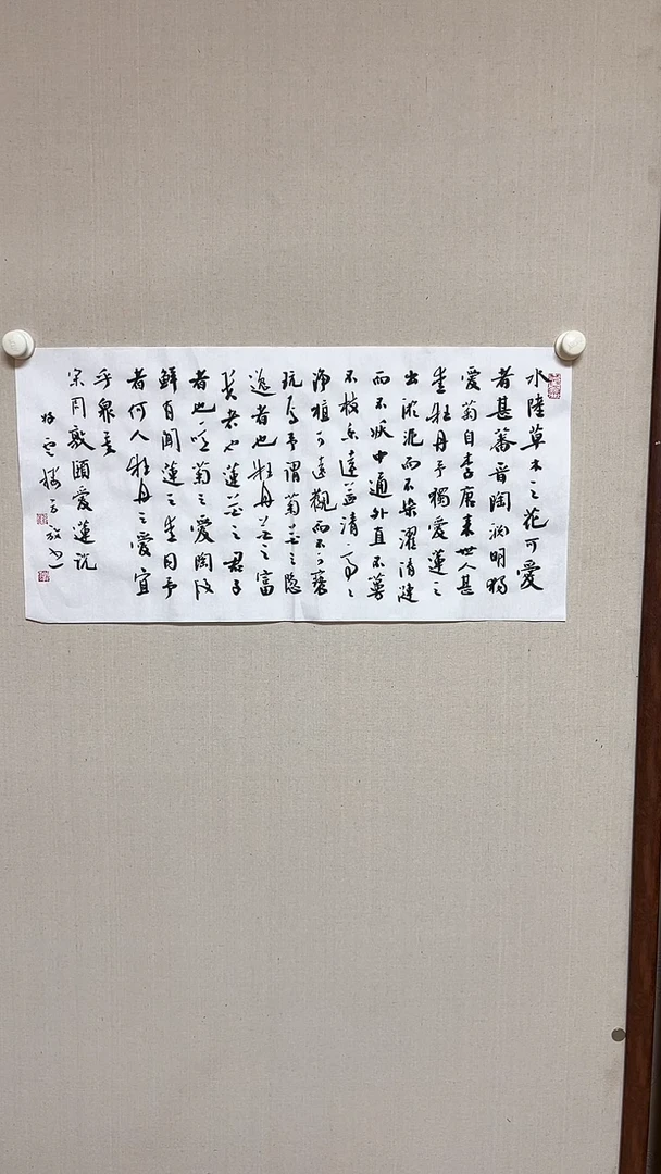 【闪购商品】书法精品老师书法