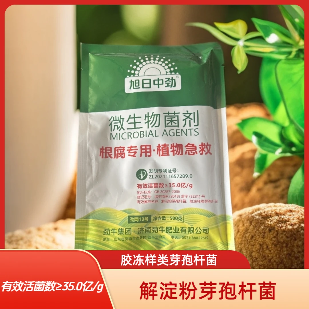微生物菌剂解淀粉芽孢杆菌胶冻样类芽孢杆菌500g/袋