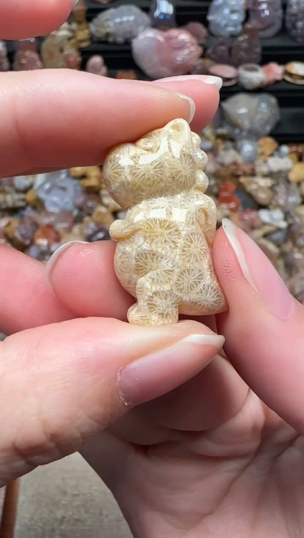 颈饰未镶嵌硅化珊瑚（珊瑚玉）727