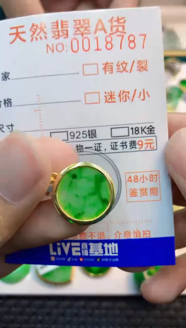 翡翠未镶嵌吊坠(不含链)1