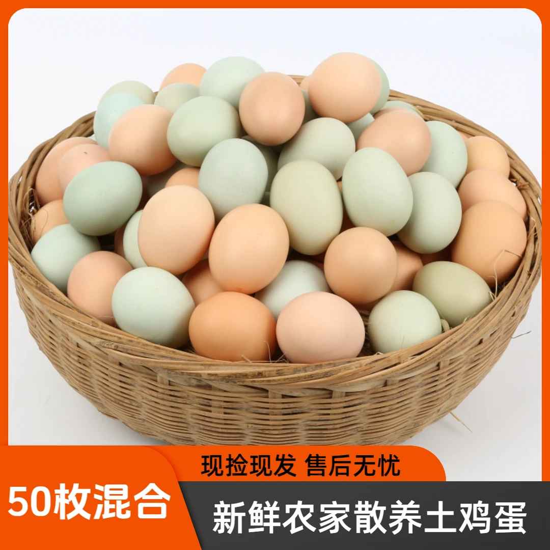 【25枚粉壳土鸡蛋+25枚绿壳乌鸡蛋】40-50克/枚 现捡现发 破损包赔