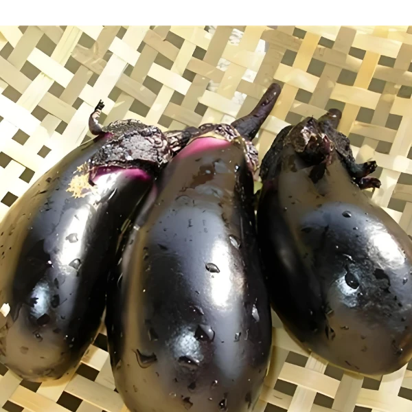 【满五包包邮】特大紫冠茄种子老品种茄子耐高温可用四季家庭蔬菜