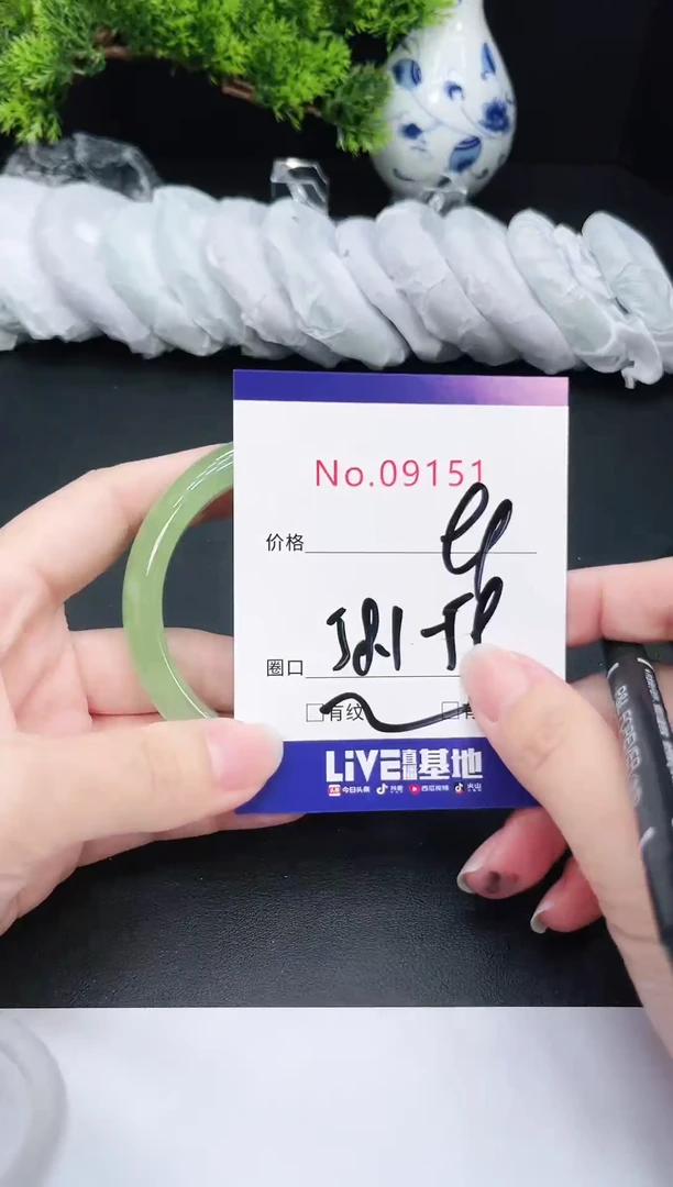 未镶嵌手镯翡翠9151