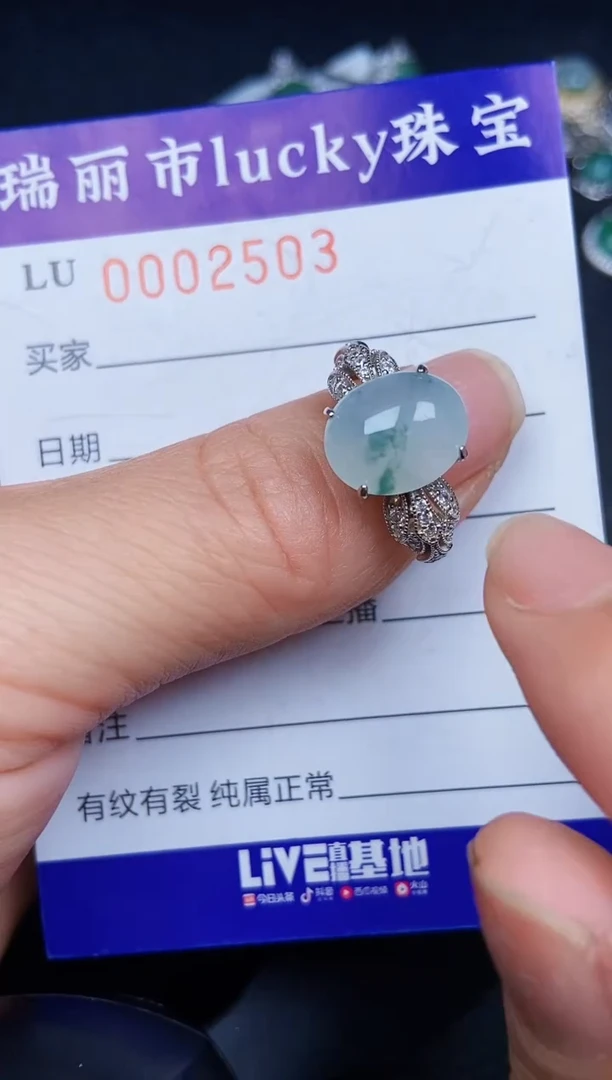 翡翠银S925镶嵌颈饰2503