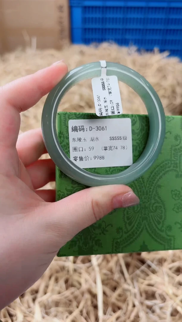 未镶嵌手镯石英质玉D-3061