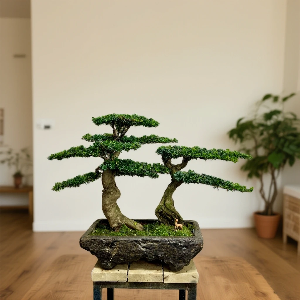 实物——丛林珍珠罗汉松子母迎客松盆景