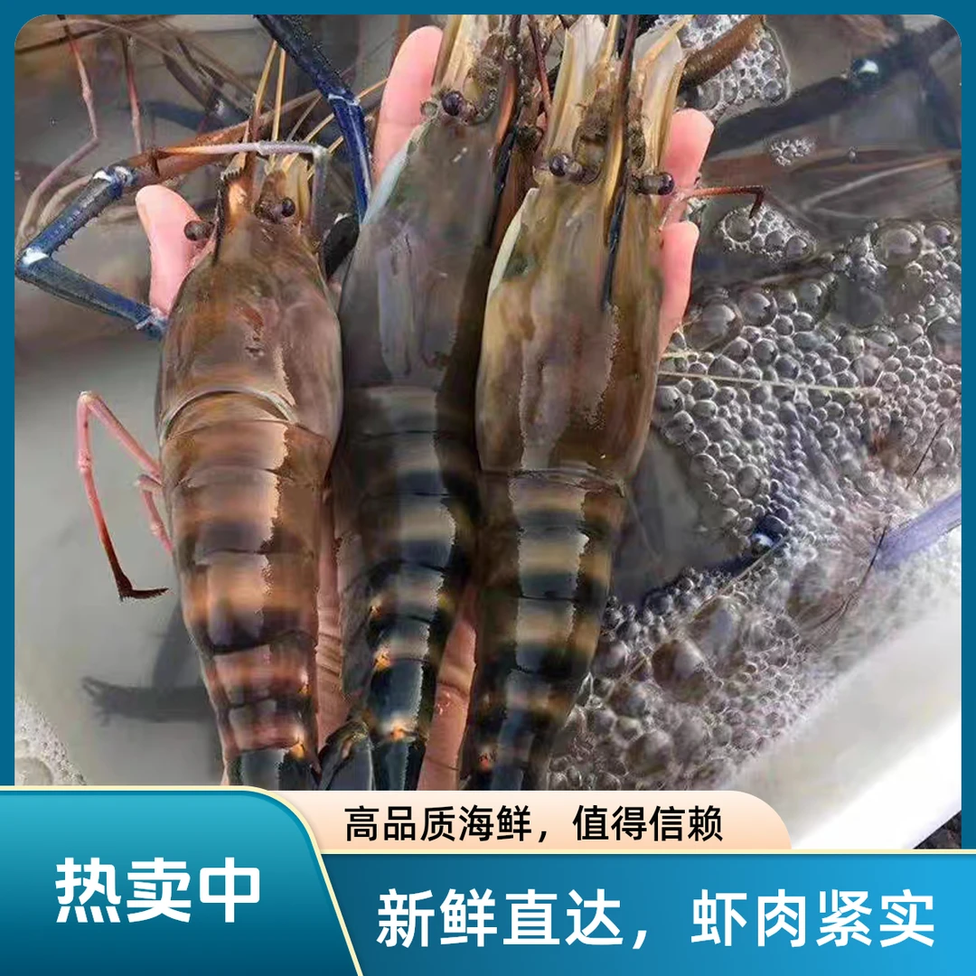 【小林优选】新疆包邮大虾 罗氏虾1kg