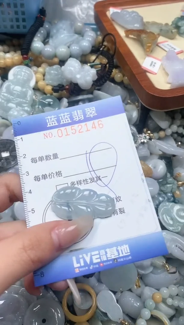 【闪购商品】翡翠颈饰未镶嵌闪购0152146