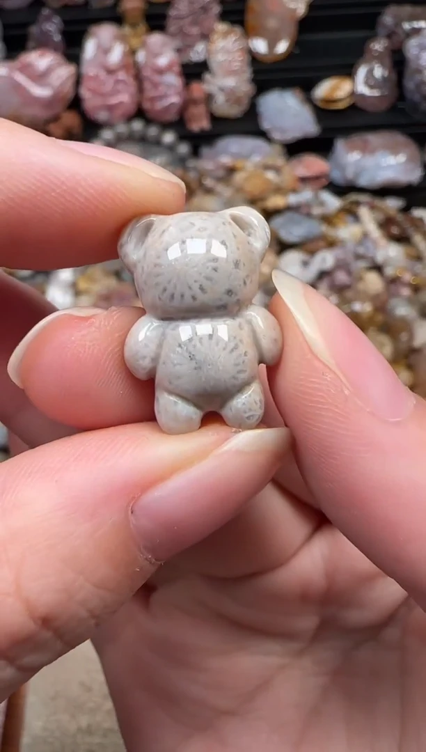 颈饰未镶嵌硅化珊瑚（珊瑚玉）004