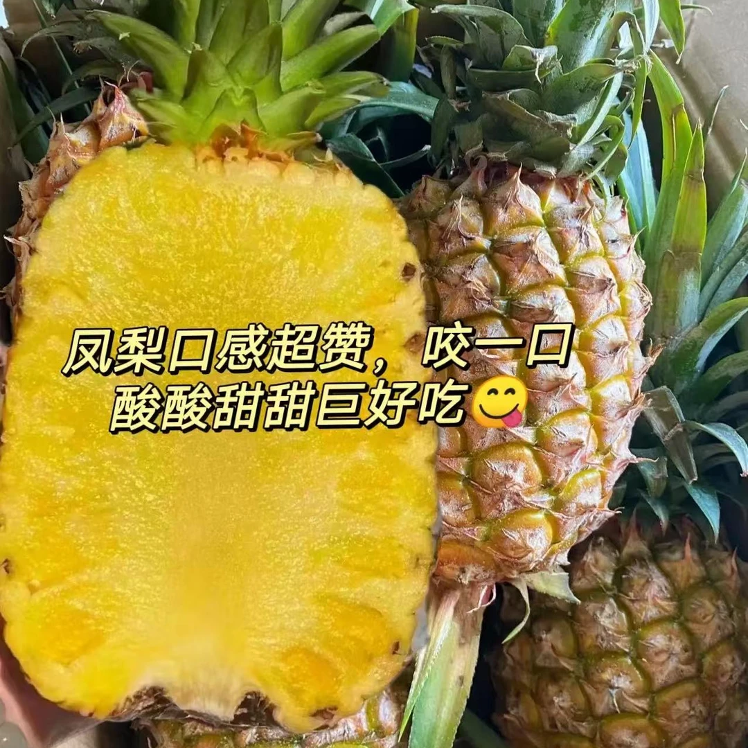 【顺丰包邮】海南树上熟金钻风梨汁甜香甜2颗净重3斤左右新鲜水果