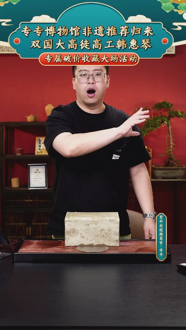 茶壶紫砂专专会客厅紫砂 12