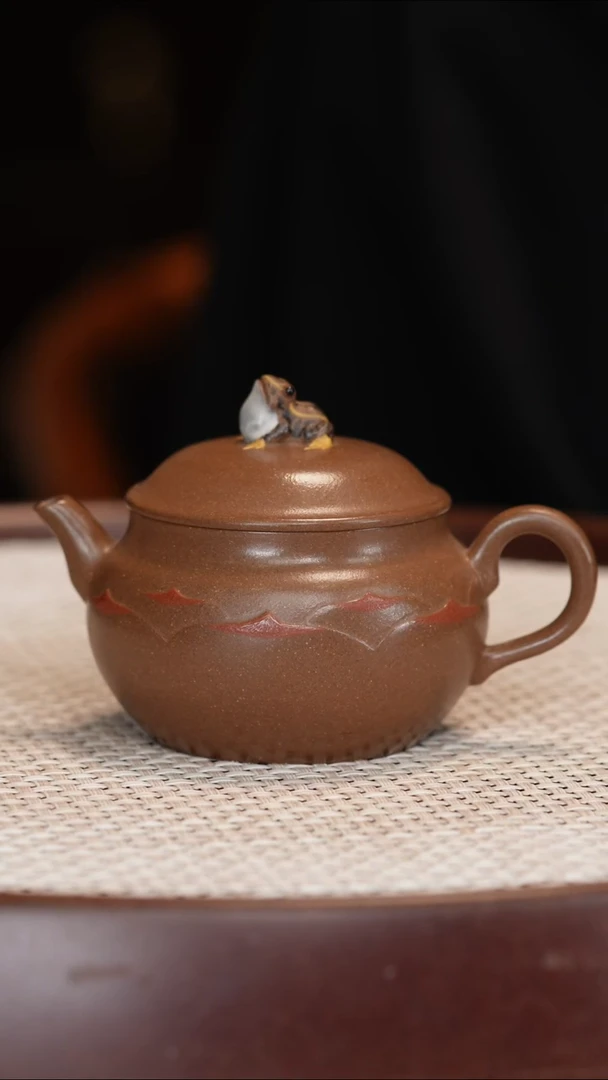 【丁雪英】莲韵120c+汉棠盆