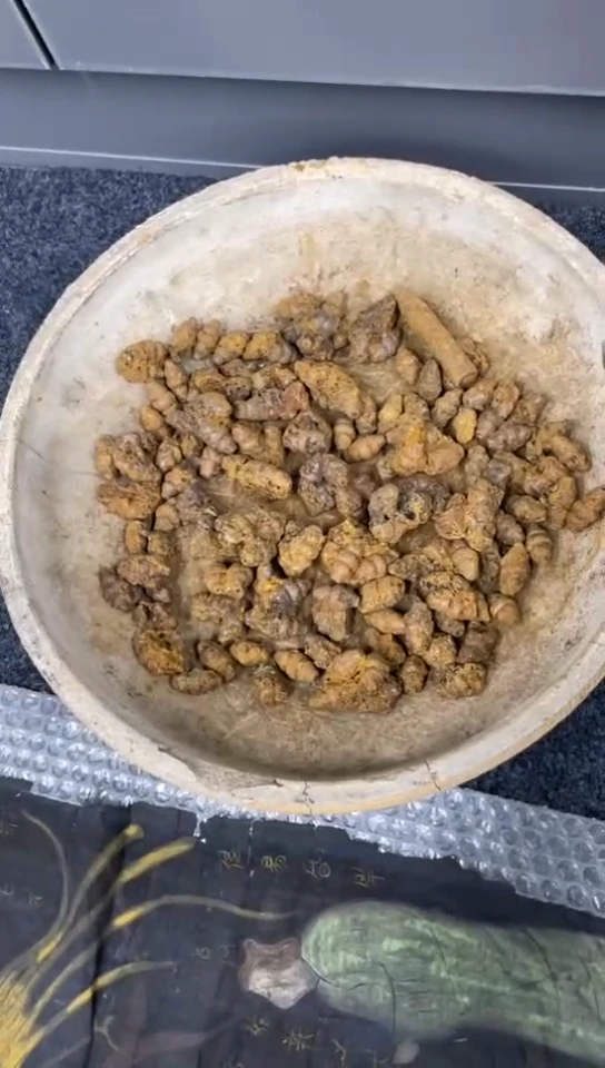 摆件上**水瓷器瓷器瓷器瓷器
