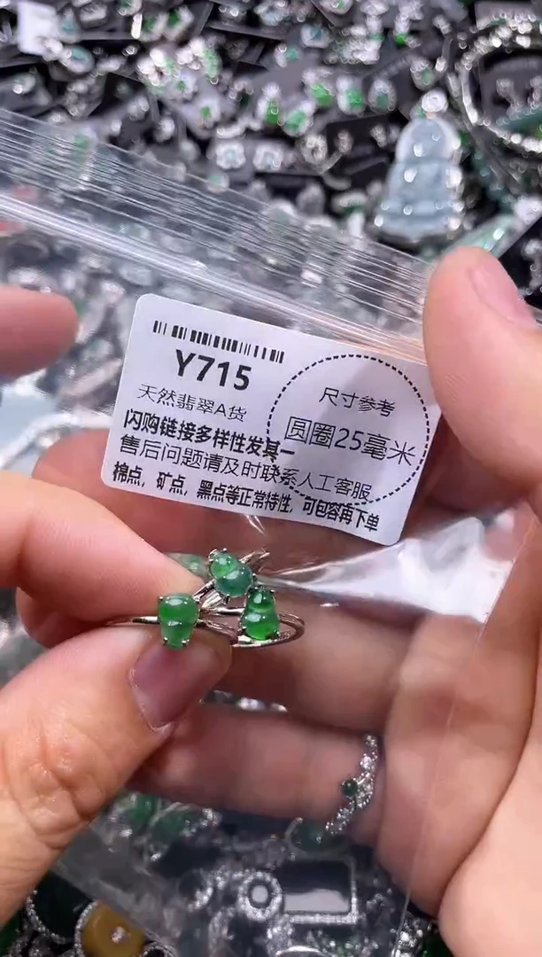 翡翠未镶嵌颈饰Y715戒指 多样性发其一