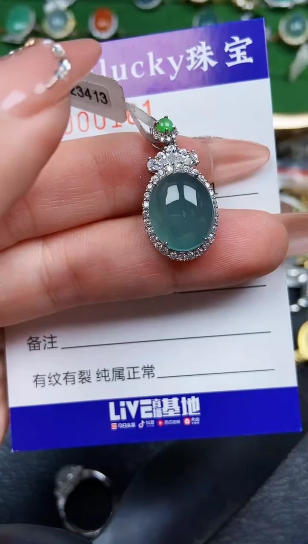 【闪购商品】翡翠颈饰银S925镶嵌0161