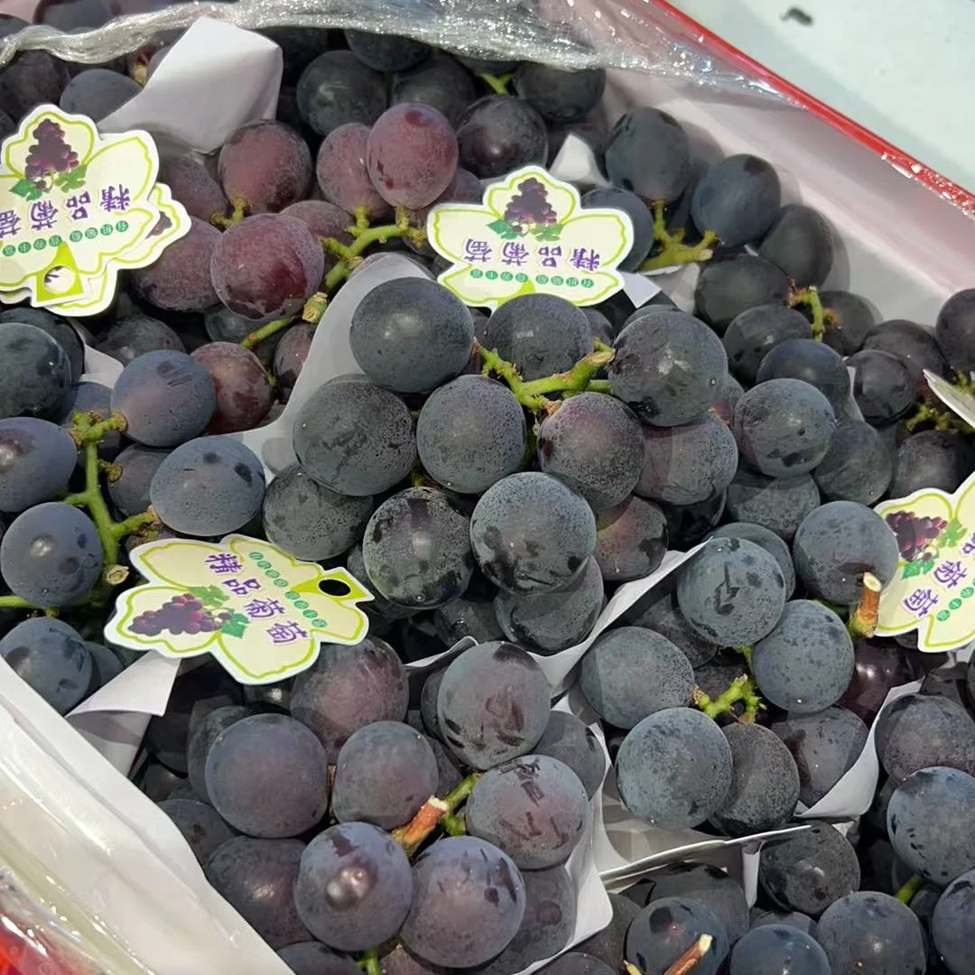 【1斤】巨峰葡萄浙江省