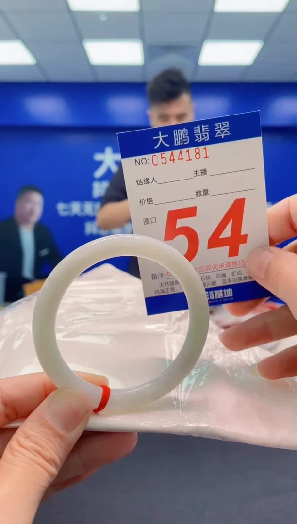 未镶嵌手镯翡翠AAAAAAAAA