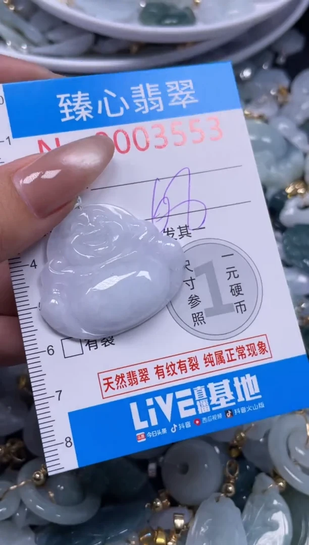 颈饰未镶嵌翡翠3554