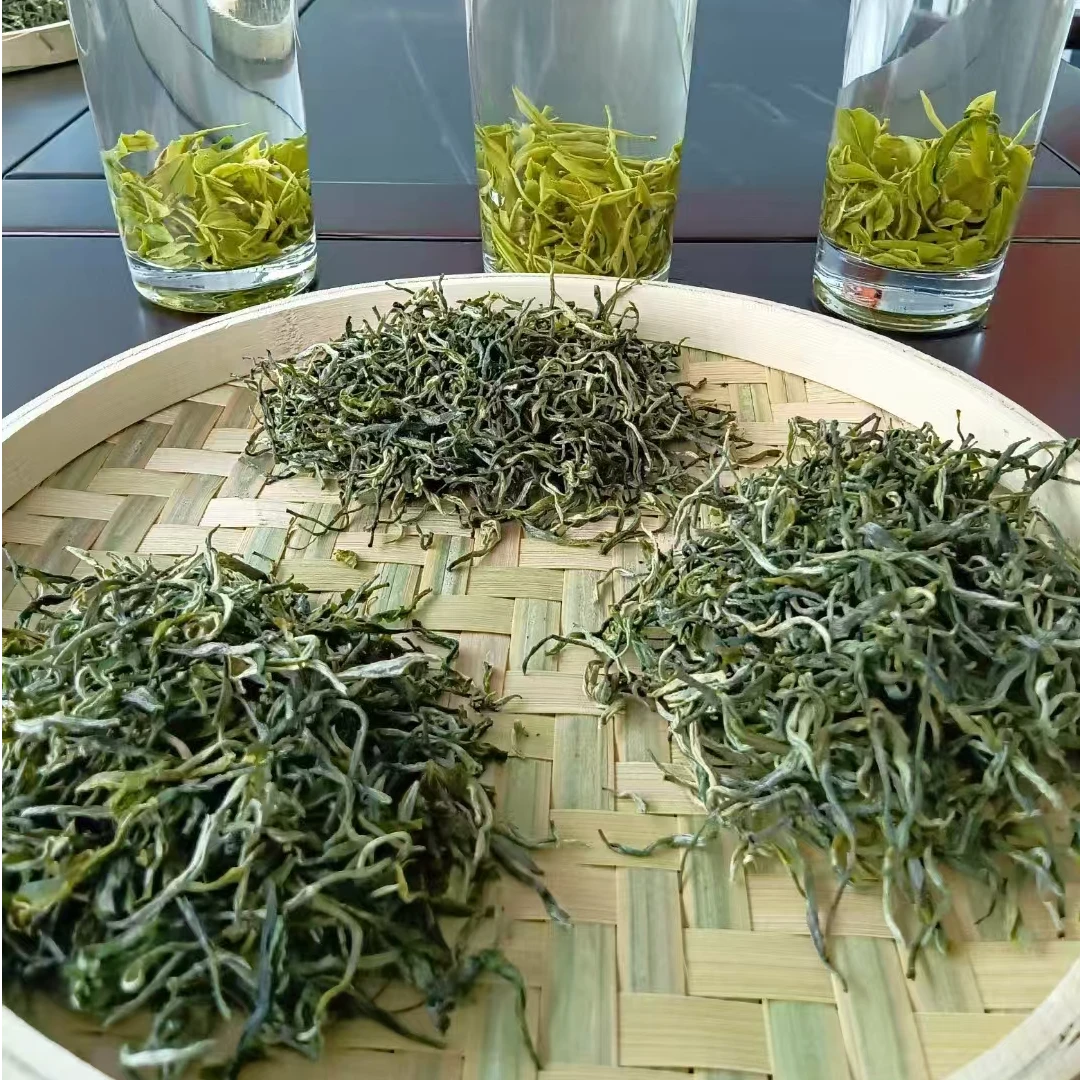 2025年，古树绿茶500克