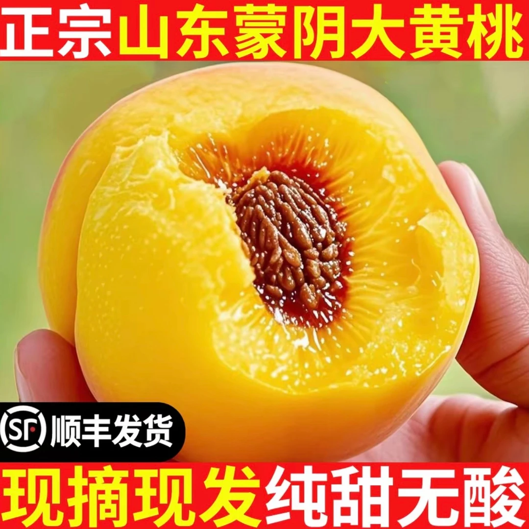 正宗蒙阴黄桃山东省