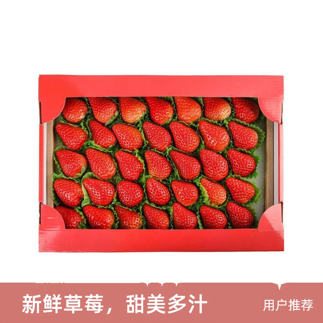 丹东红颜草莓500g  礼盒装