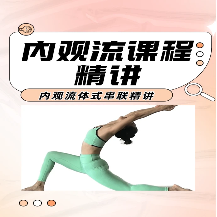 30节内观流分解体式精讲课程