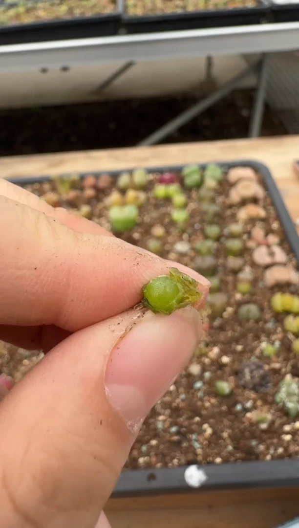 【闪购商品】6--14