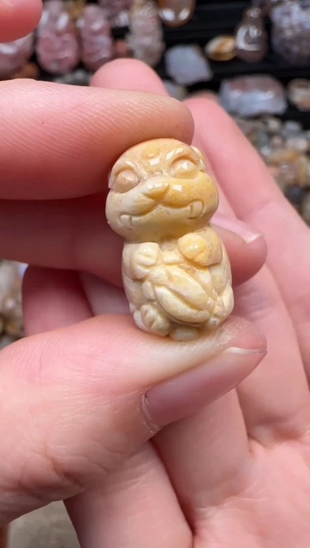 颈饰未镶嵌硅化珊瑚（珊瑚玉）370