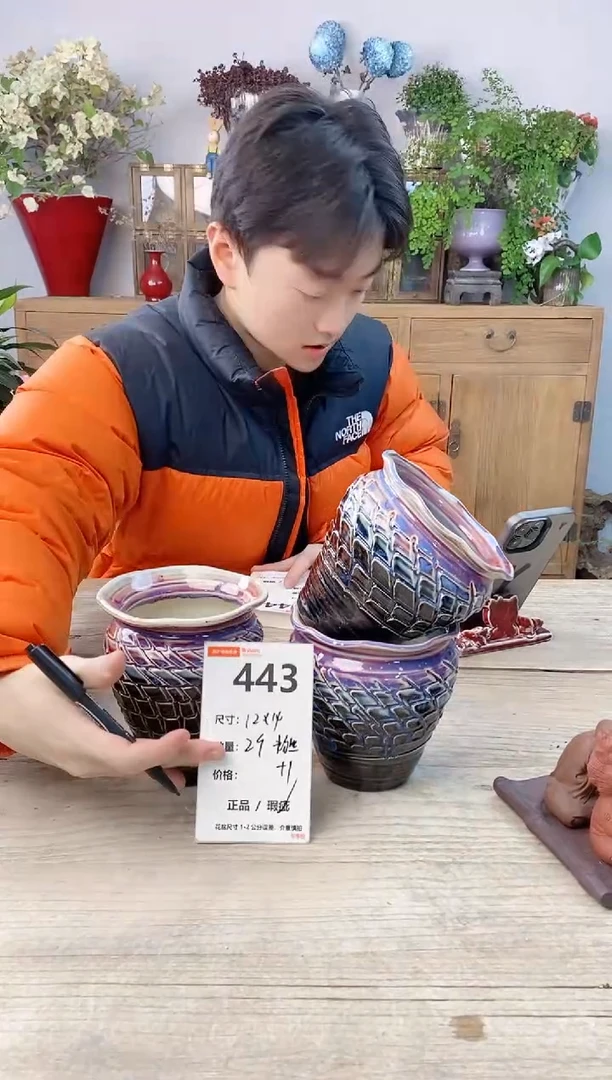 小玩子花盆直播号443