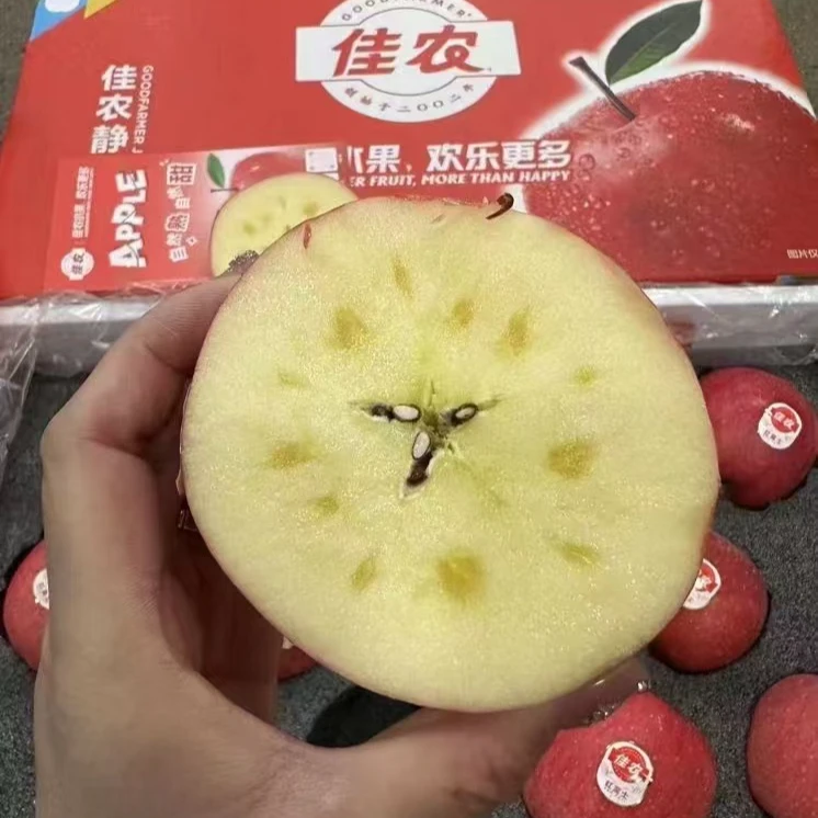 《农人老三》佳农苹果一箱15枚6斤装 包邮