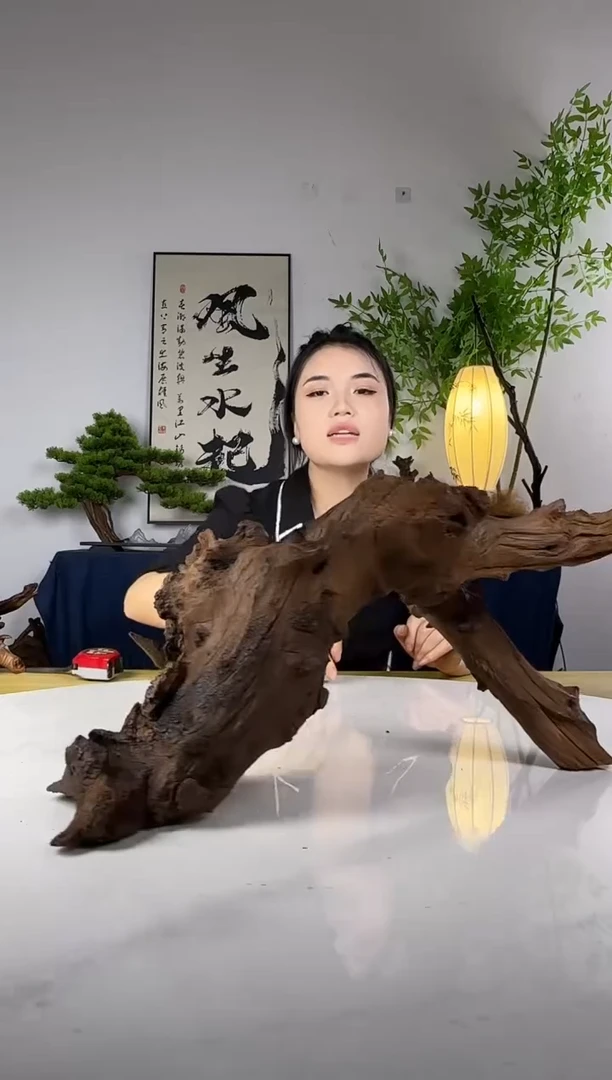 L****r拍这个定向编号97