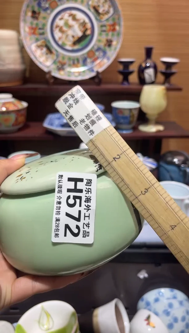 其他陶辽*          H572