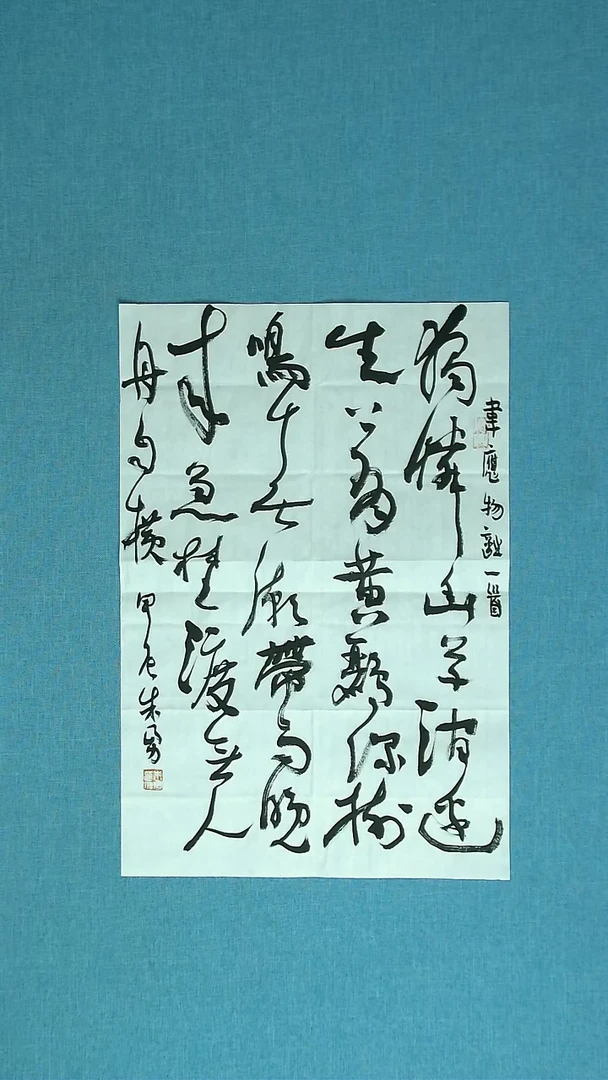 【闪购商品】书法285  安徽朱勇中书协69*34