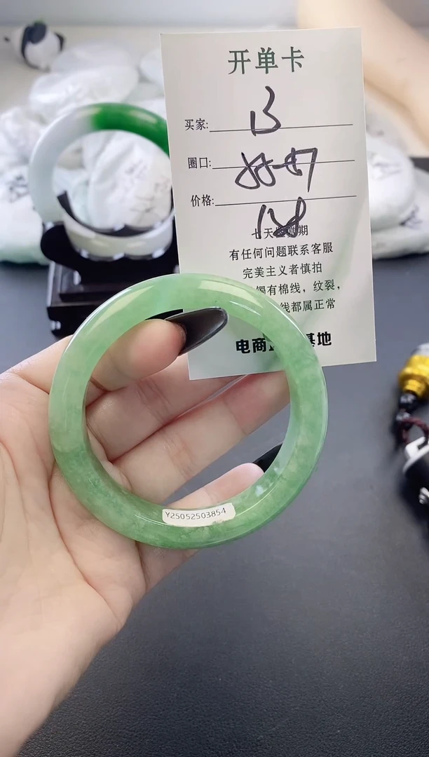 未镶嵌手镯翡翠13