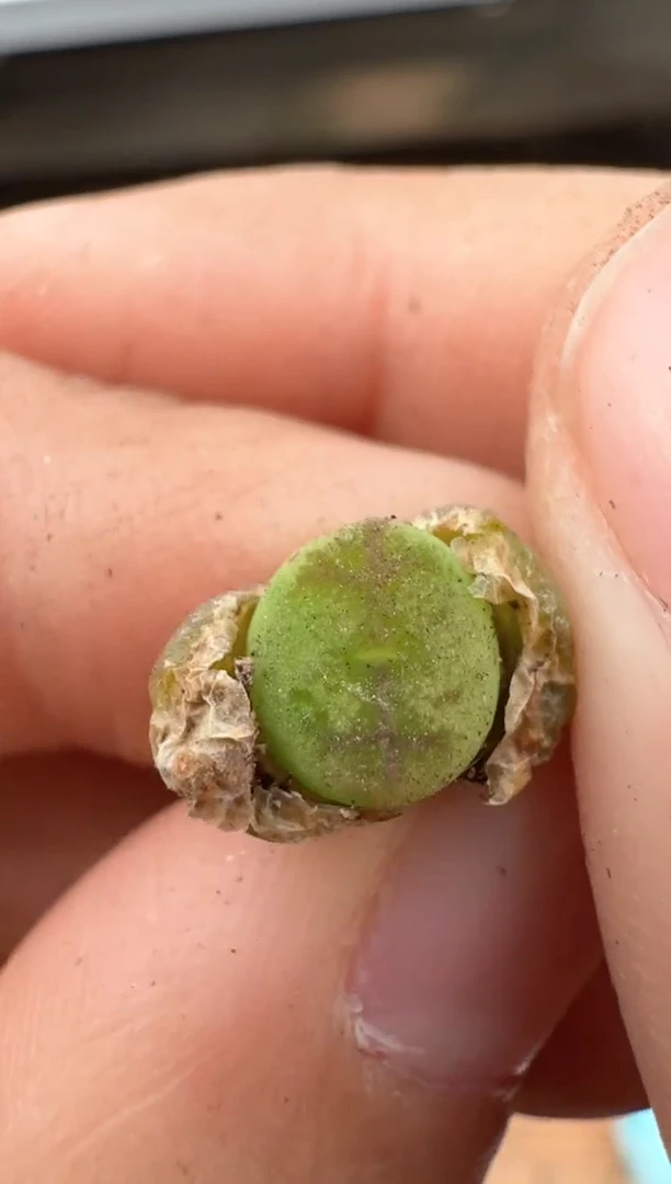 【闪购商品】25-30