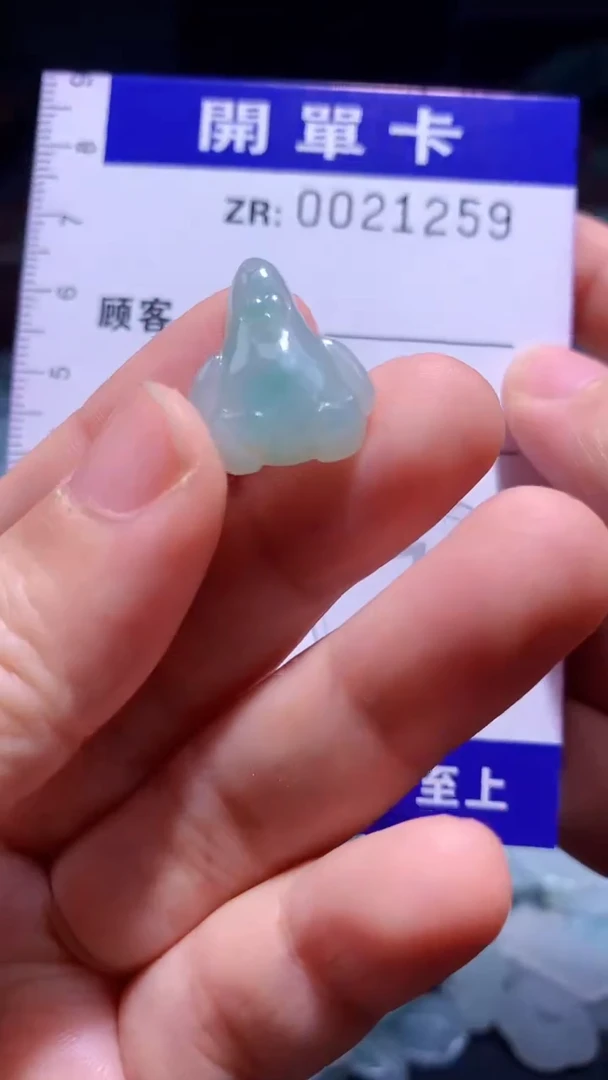 翡翠未镶嵌颈饰翡翠A货（不含链）