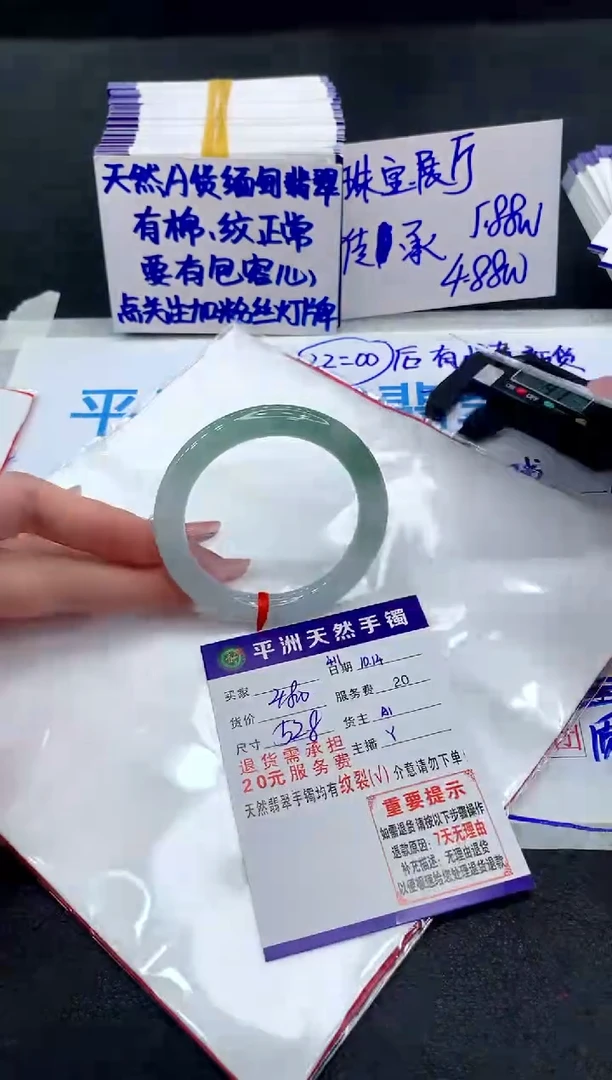 未镶嵌手镯翡翠111111