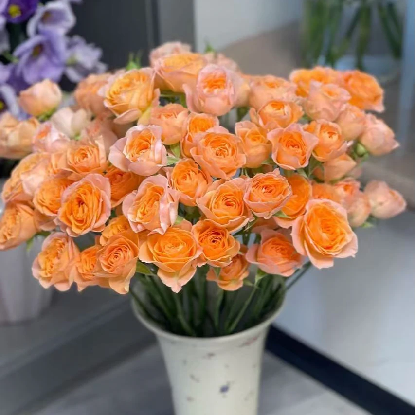 米奇泡泡玫瑰（任意两单升级快递 /收到第一时间醒花）