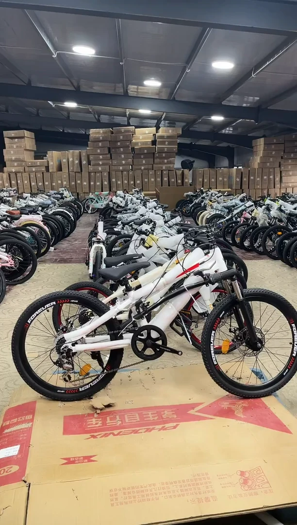 22寸-7速-白-铝【运损微瑕，不退不换】