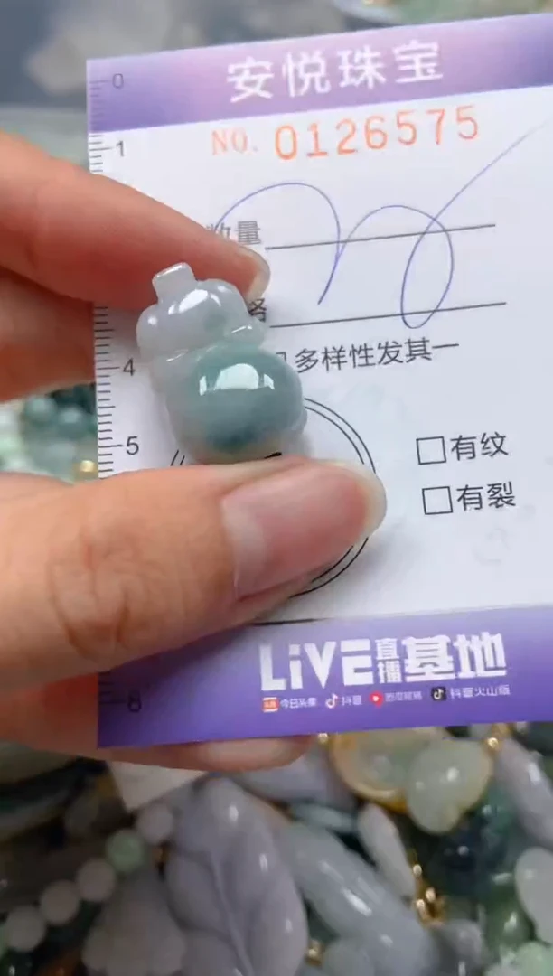 【闪购商品】翡翠颈饰未镶嵌闪购0126575