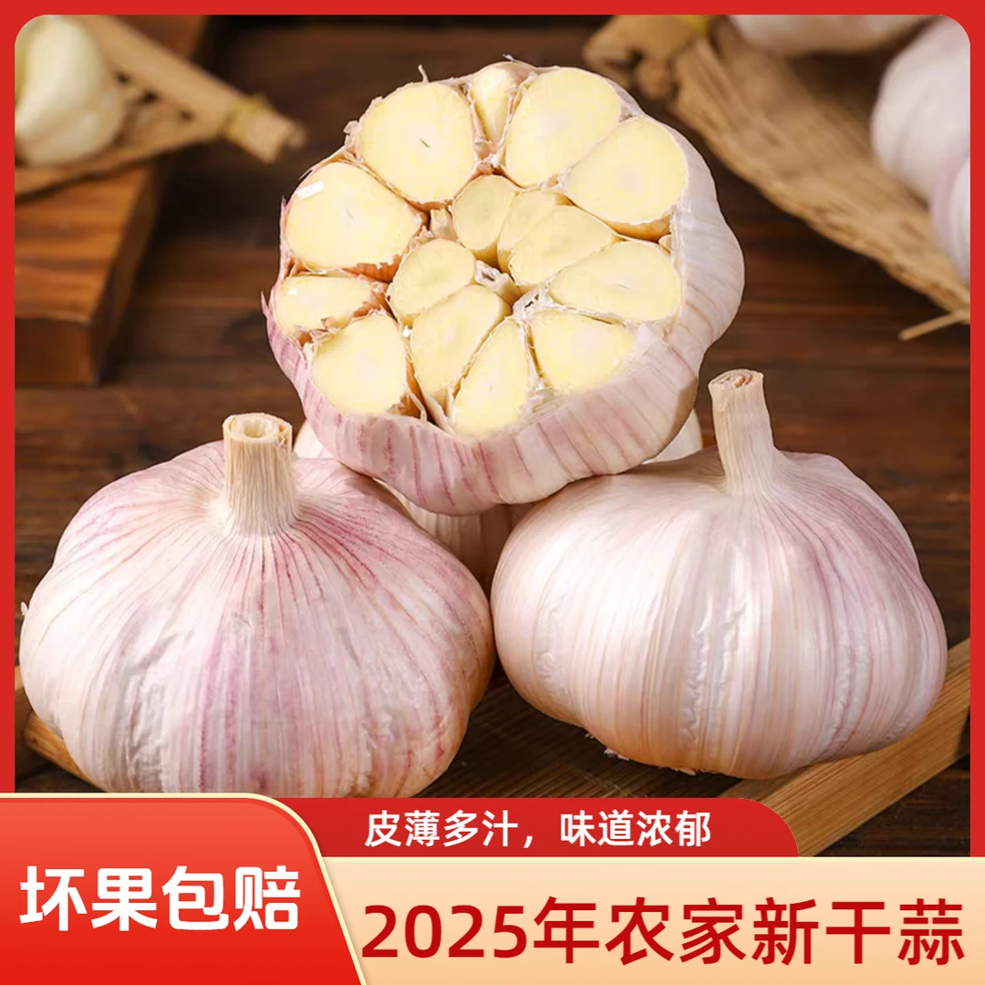 新鲜干大蒜1斤3斤/5斤/9斤大果紫白皮新干蒜