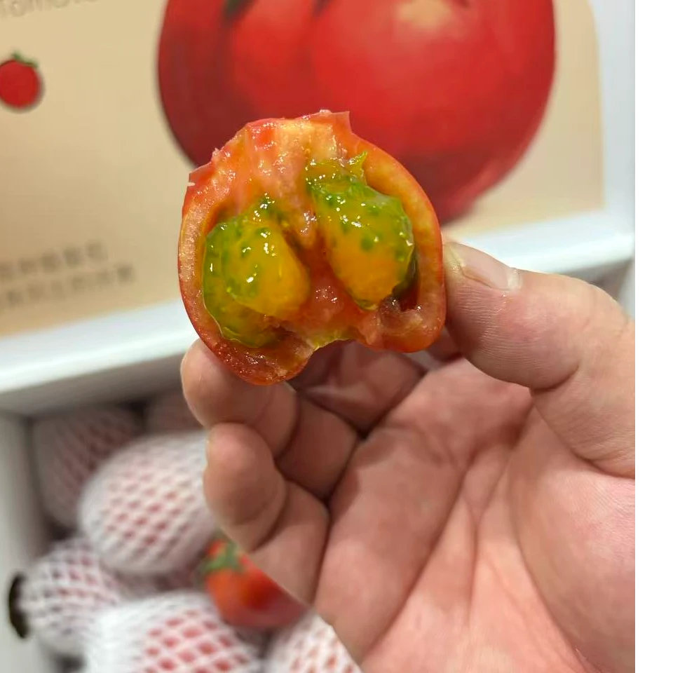 【老何严选】超级玛丽甜番茄礼盒装2.8斤(大小不均匀,酸甜口)